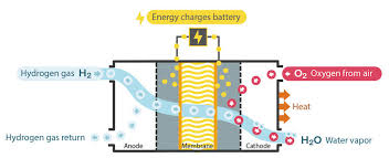 Hydrogen Fuel Cells